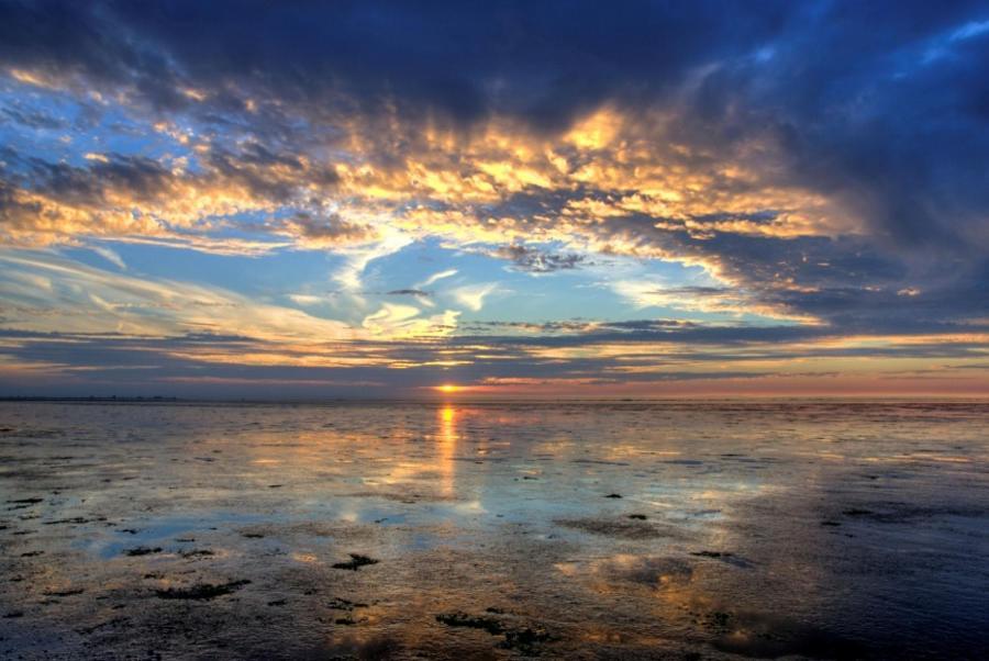 Camping Wad Noch Meer Anna Paulowna Esterno foto